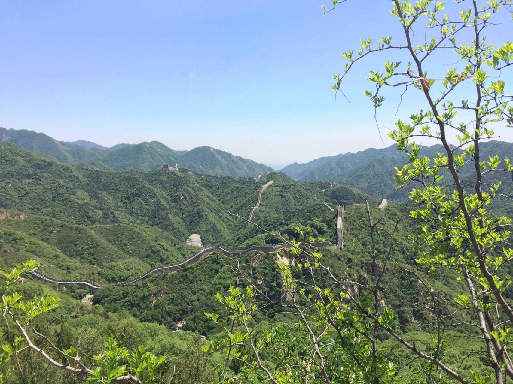 立陶宛落选赛阵容